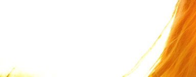 Rhodiola rosea – rastlina, ki vas napolni z energijo